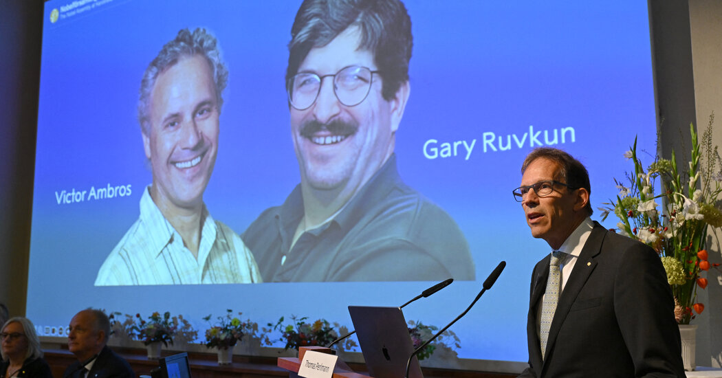 nobel-fizyoloji-veya-tip-odulu-victor-ambros-ve-gary-ruvkuna-verildi-H1xf7sNt.jpg